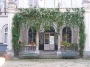 Фалопия, сребърни дентелени лози (Fallopia baldschuanica, Silver lace vine)