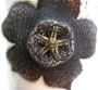 Стапелия (Stapelia comparabilis)
