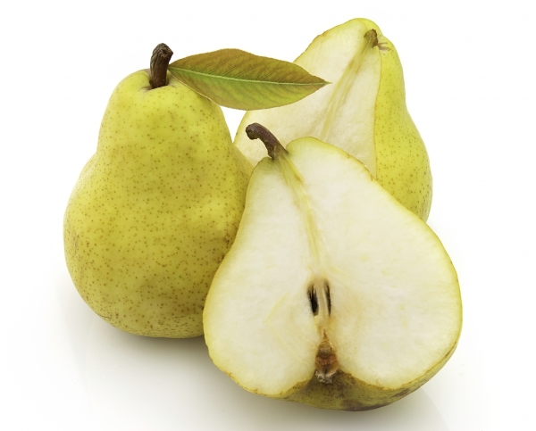 Круша сорт Президент (Pyrus, pear)