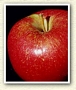 Ябълка, сорт Айдаред (Malus domestica Idared apple)