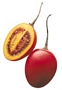 Тамарило, Доматено дърво (Tamarillo, Cyphomandra betacea)