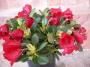 Азалия градинска (Azalea japonica)