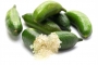Цитрус пъстров лайм (Microcitrus australasica Finger lime Citron Caviar)