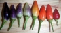 Декоративни люти чушки, стайни, пипер (Capsicum annuum Twilight)