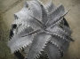 Дикия (dyckia marnier-lapostollei var.estevesii)