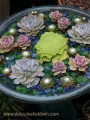 Ешеверия (Echeveria)