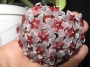 Хоя пубикаликс (Hoya pubicalyx Red Buttons)