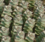 Красула (Crassula perforata Giant Form)