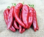 Люти чушки семена Big Jim (Capsicum annum Numex Big Jim)