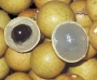 Лонган, Драконово око, семена (Longan, Dragon Eye)