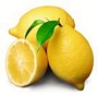 Лимон (Citrus Limon Kitrolemon)