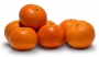Мандарина, цитрус хибрид (citrus ibrido tacle)