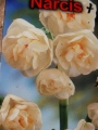 луковици и грудки
