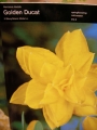 Нарцис (Narcissus Golden Dukat)