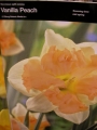 Нарцис (Narcissus Vanilla Peach)