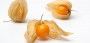 Перуански физалис Инка бери семена (Physalis)