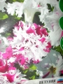 Петуния, семена (Petunia grandiflora)