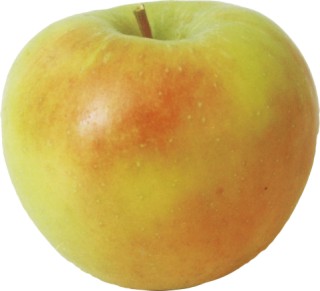 Ябълка, сорт Айвания (Malus domestica)
