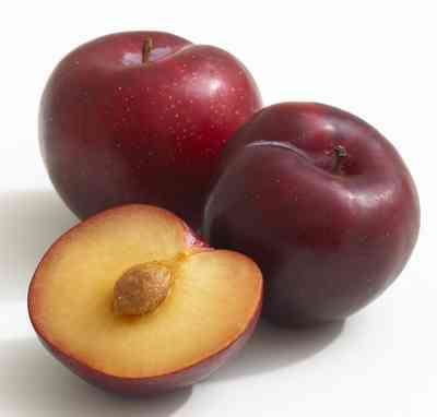 Слива сорт Червена афъзка (Prunus) Слива сорт Червена афъзка (Prunus)