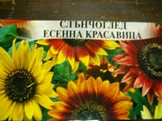 Декоративен слънчоглед, нисък, семена (Helianthus annuus / dwarf sungold)