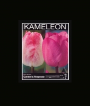 Лале (Tulip Kameleon Gander