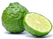 Лемон, Kафиров лайм (Citrus hystrix)