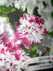 Петуния, семена (Petunia grandiflora)