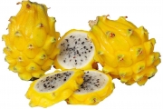 Питахая, Драконов плод , жълта, семена (Hylocereus undutatus, Pitahaya)