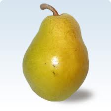 Круша Вилямова масловка (Pyrus vilqmova maslovka)